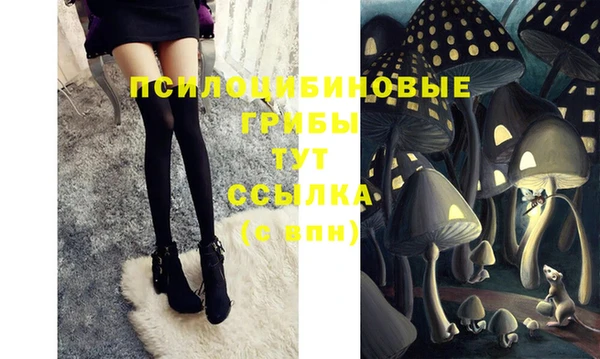 дурь Лагань