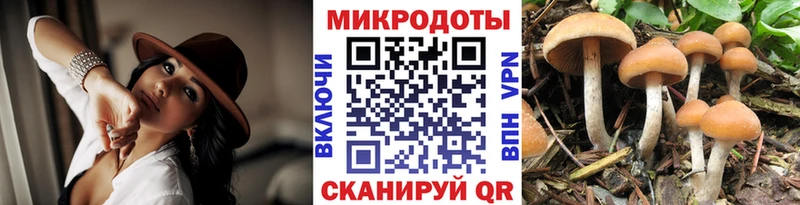 KRAKEN как войти  Яровое  Галлюциногенные грибы GOLDEN TEACHER 
